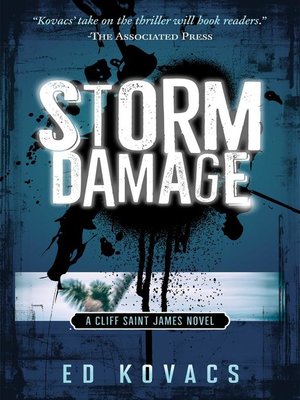 cover image of Storm Damage